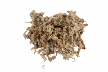 Sphagnum Moos 500 Gramm aus Chile